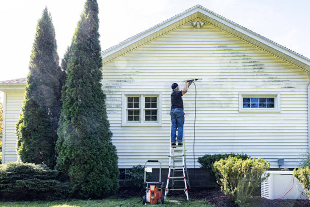 Best Roof Power Washing Services  in Camp Wood, TX