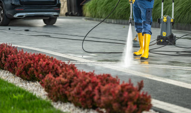Best Pressure Washing Driveway  in Camp Wood, TX